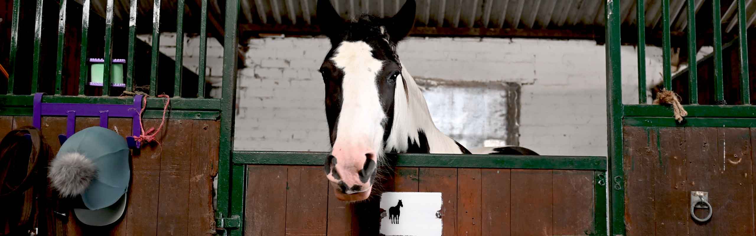 Home Farm Livery